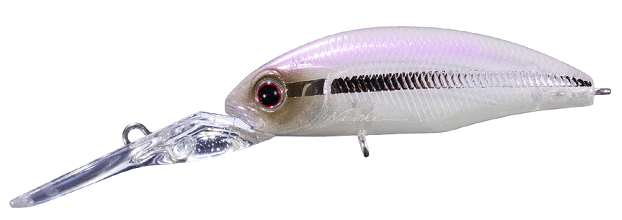 ルアーのアップ写真