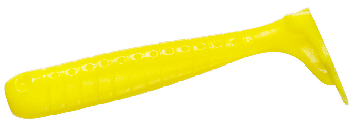 ワームのアップ写真