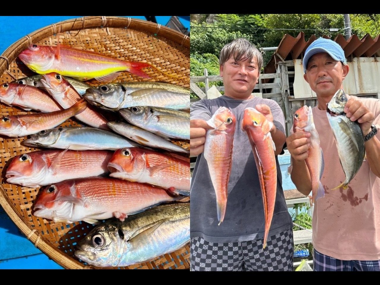 【釣果速報】神奈川県船宿 秋田屋で高級魚アマダイGET!マアジ・イサキ・イトヨリなどゲストも超豊富に!