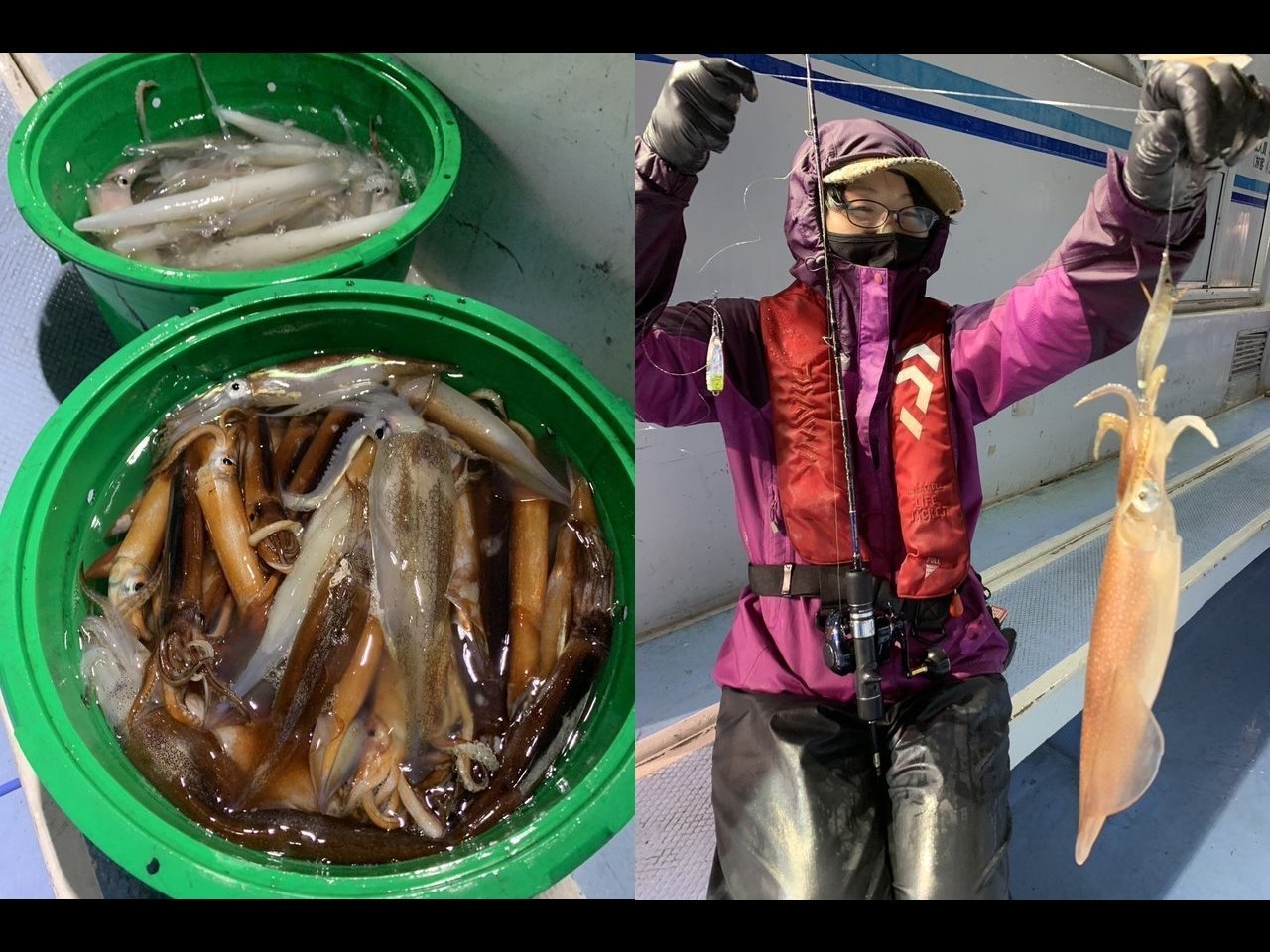 【釣果速報】釣れる釣れる！茨城県幸栄丸で最大51cm、TOP144匹のケンサキイカ爆釣！狙うなら美味しい今がチャンス！