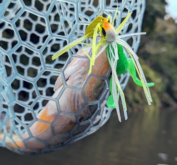 魚とルアーのアップ写真