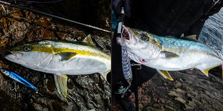 魚とルアーのアップ写真