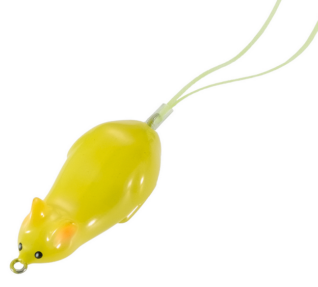 ルアーのアップ写真