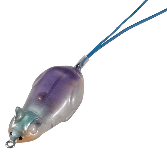 ルアーのアップ写真