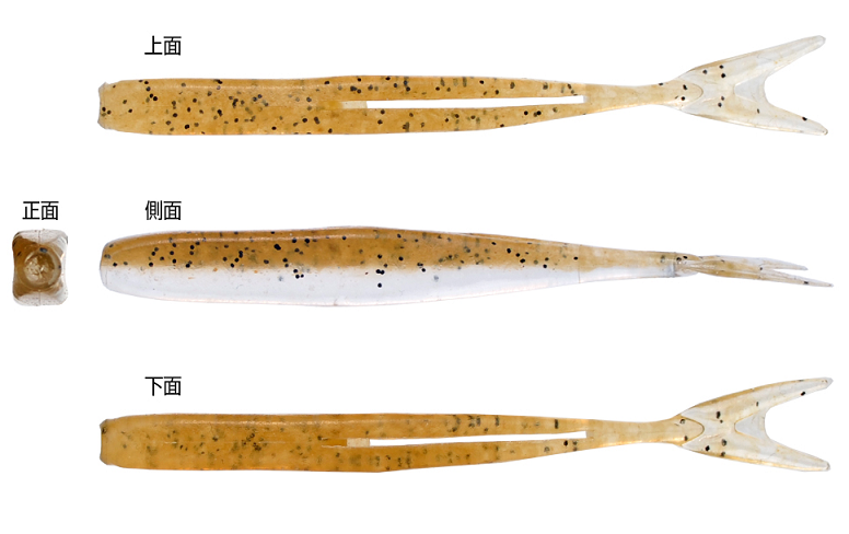 ワームのアップ写真