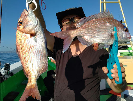 魚のアップ写真