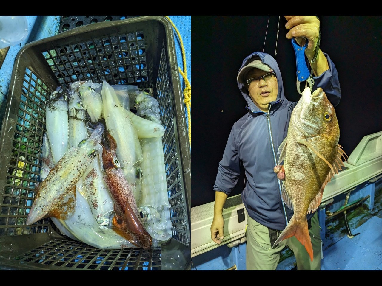【釣果速報】ヤリイカ大漁！合計200匹！！福岡県まつげん丸ならお土産確保間違いなし！