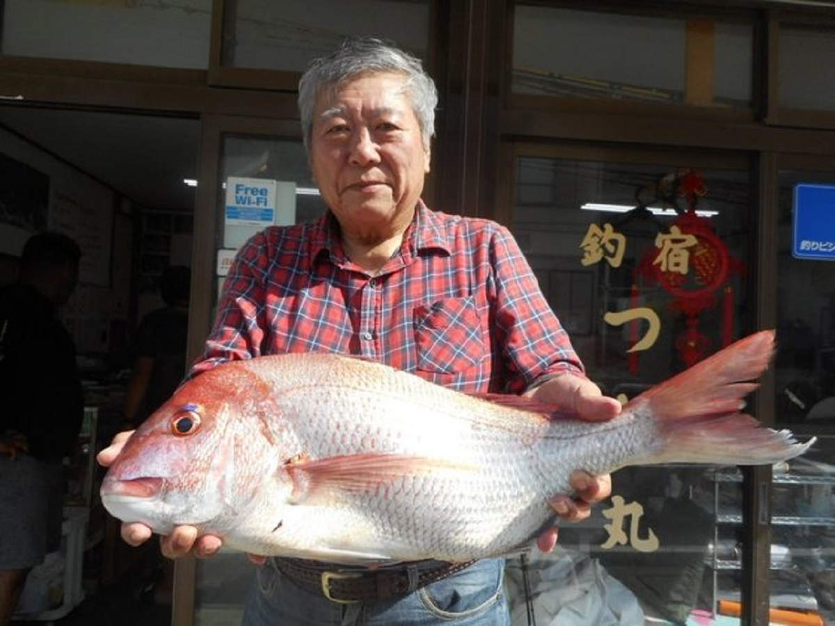 【釣果速報】3.7kgのド迫力マダイ出た！自己最高記録の大鯛を狙うなら神奈川県つね丸に乗船しよう！