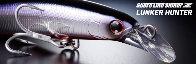 ルアーのアップ写真