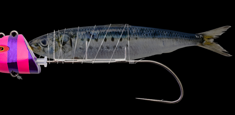 テンヤ仕掛けのアップ写真