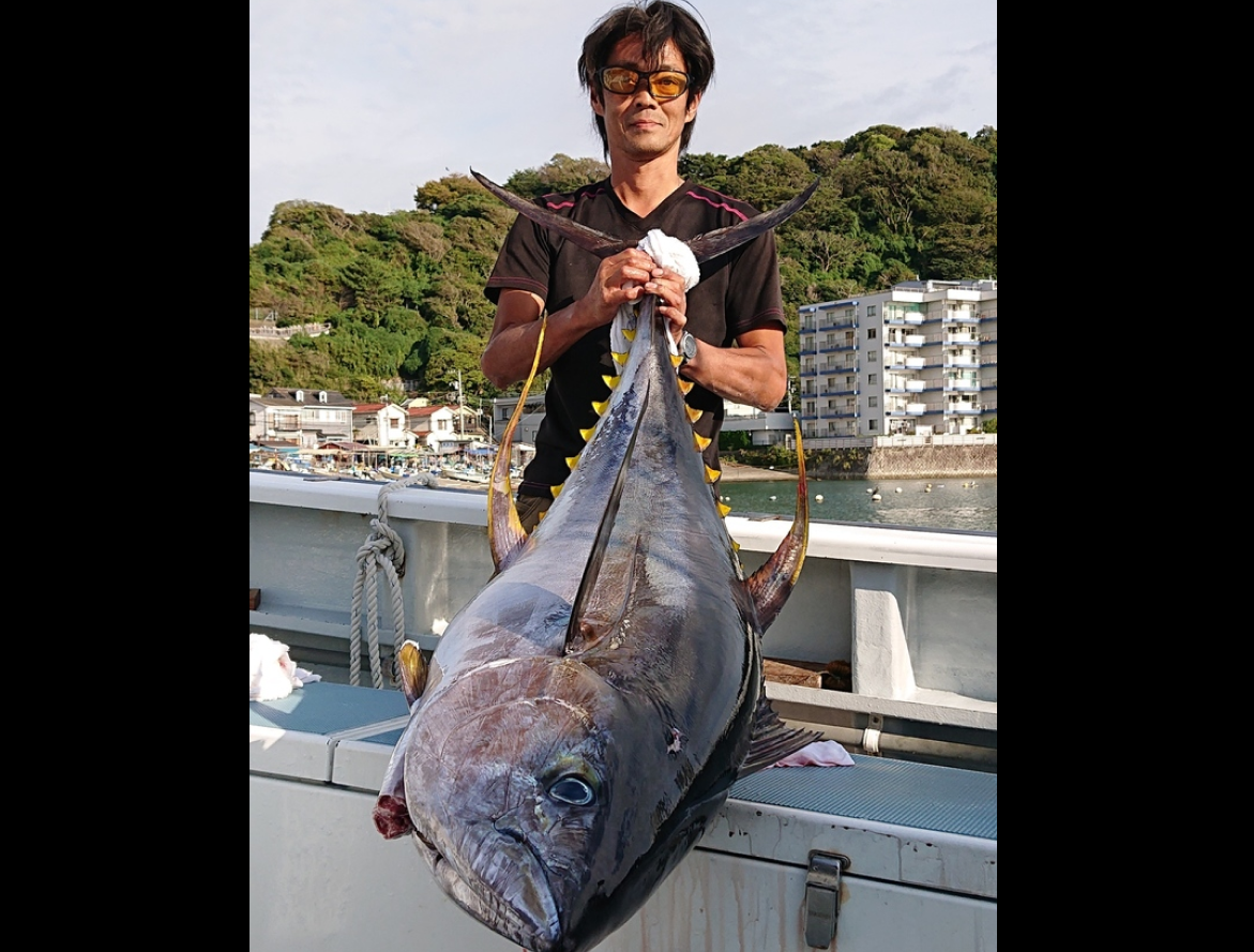 【釣果速報】神奈川県太郎丸にモンスター級のマグロ現る!格闘の末60kgをGET!次なる挑戦者はあなただ!