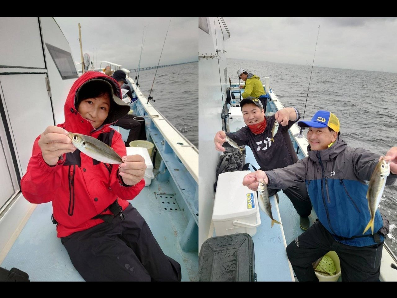 【釣果速報】東京都船宿まる八のアジの釣果がバズってる!竿頭100匹!釣れすぎて笑いが止まらない釣行を体験してみませんか?