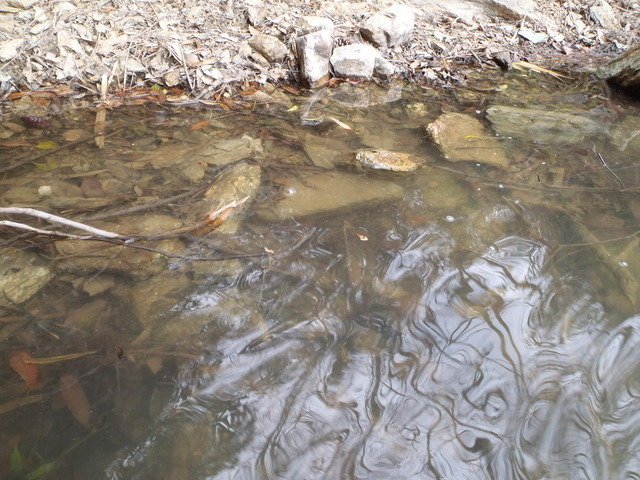 岩盤　シャロー　川　写真