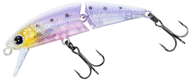 ルアーのアップ写真