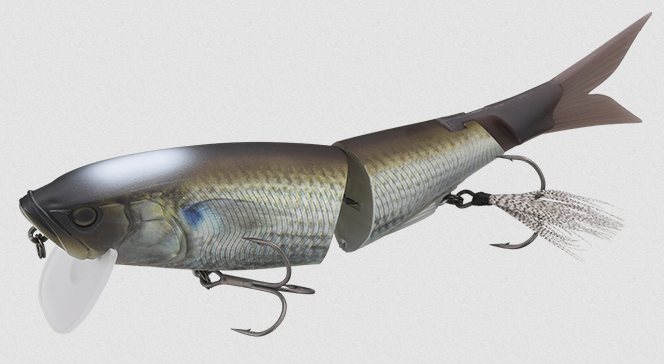 ルアーのアップ写真