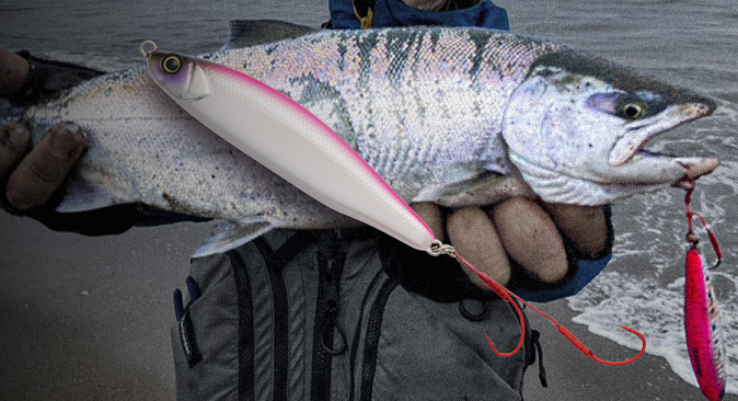 魚とリールのアップ写真