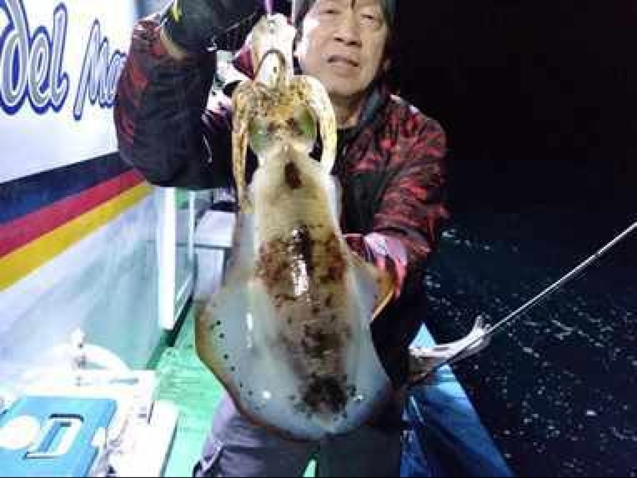 【釣果速報】福井県SUPER　VIKINGでアオリイカ全員ゲット！実績“お墨付き”の船で高級イカをゲットしよう！