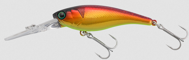 ルアーのアップ写真