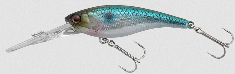 ルアーのアップ写真