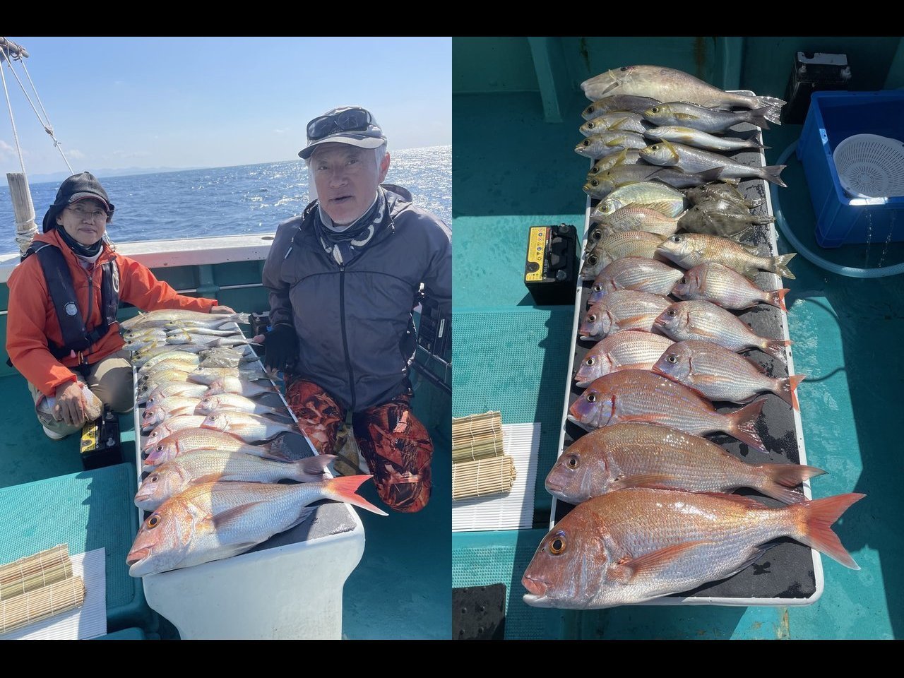 【釣果速報】マダイ・チダイ・メイチダイと人気魚種が船内を彩る！和歌山県良栄丸でお土産たくさんゲットしよう！