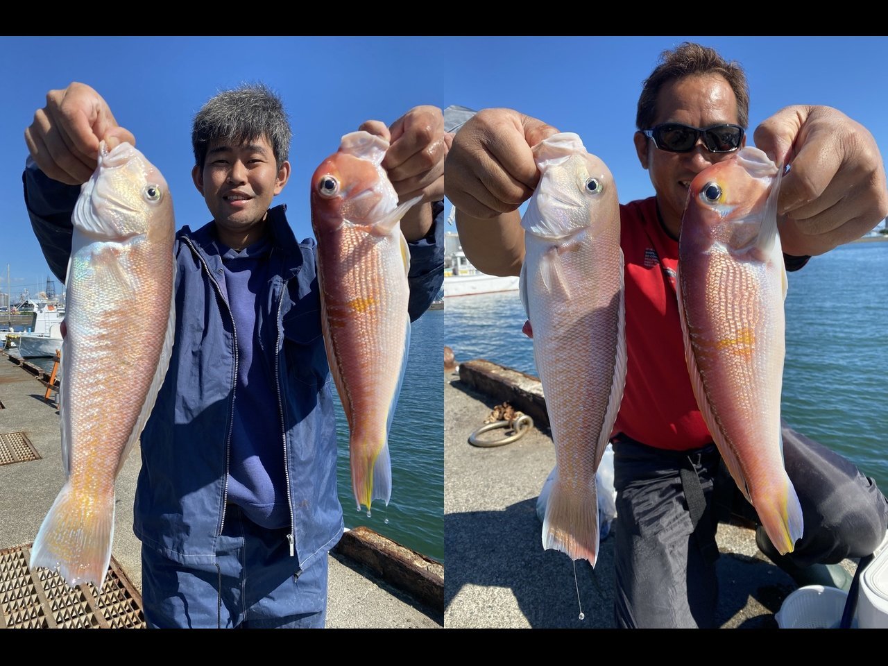 【釣果速報】静岡県山大丸で38cmアマダイ・シロアマダイ確保！高級感溢れる釣行に今こそ挑戦しよう！