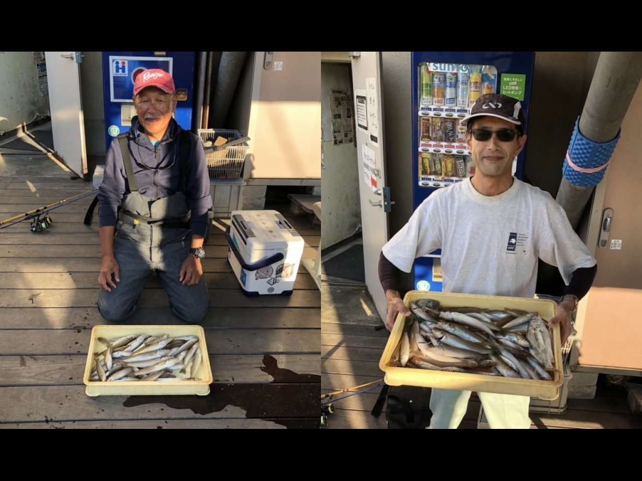 【釣果速報】神奈川県荒川屋で良型シロギスがどんどん釣れる！竿頭は57匹！好調続きの今が乗りドキ！