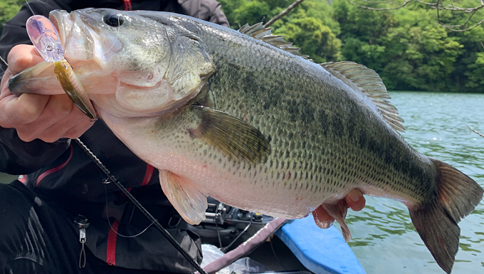 魚とルアーのアップ写真