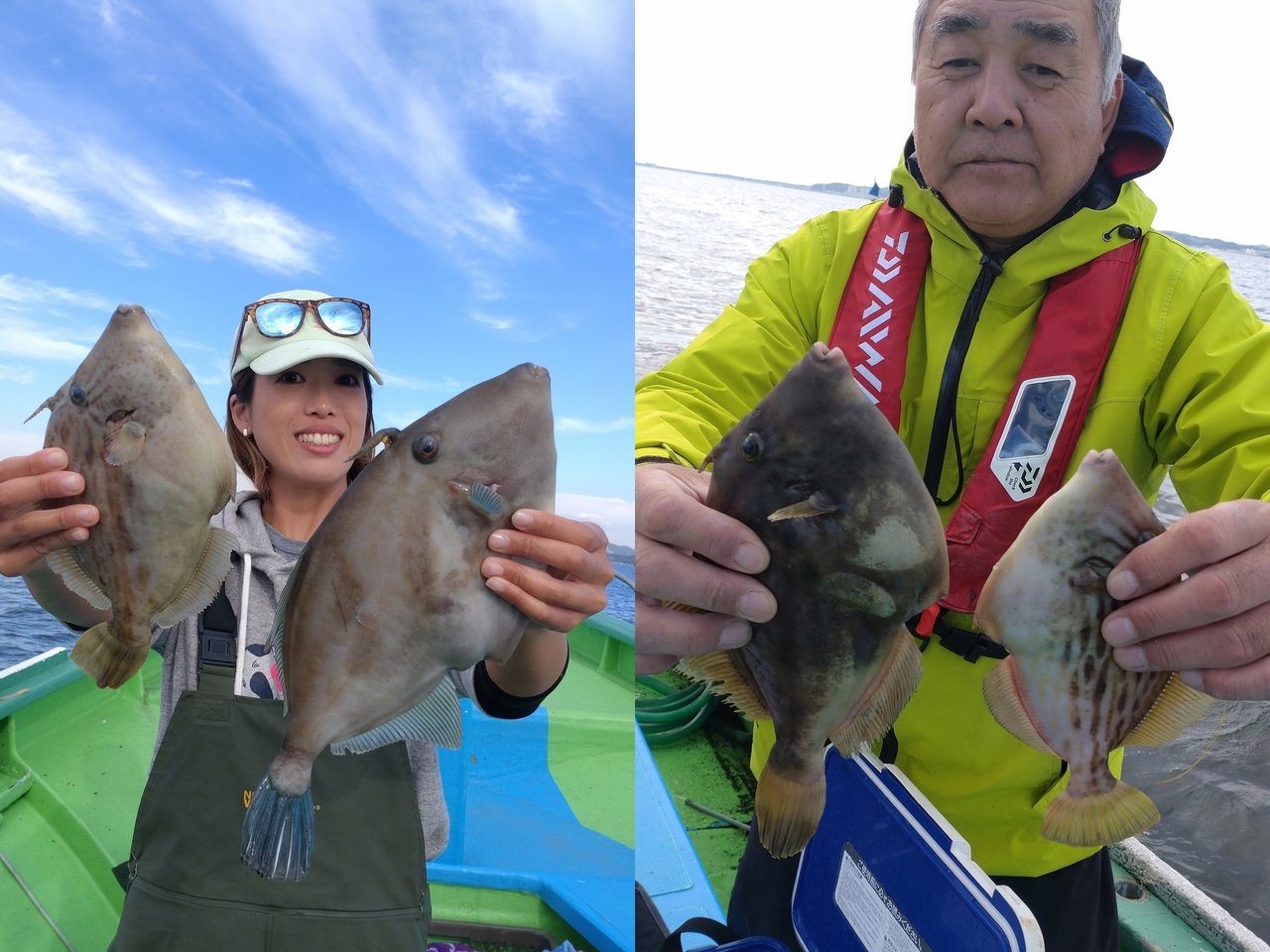 【釣果速報】千葉県フィッシュオン大勝でカワハギ連続ヒット！25cmオーバーも多発し今後の釣行も期待大！