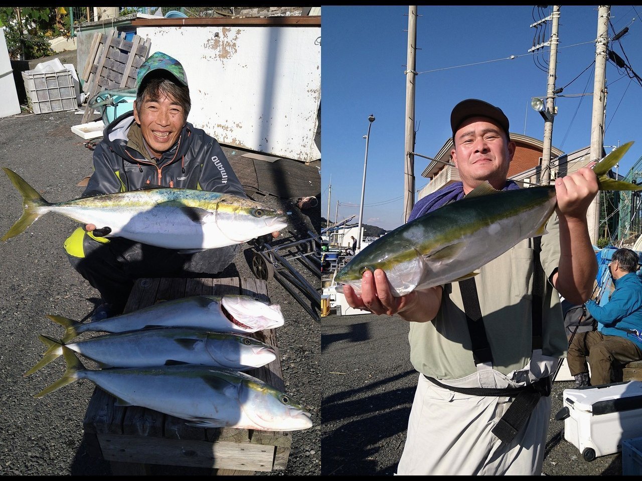 【釣果速報】朝一から連釣！神奈川県愛正丸でアジ好調！竿頭は33匹！質も量も大満足の釣行を楽しもう！