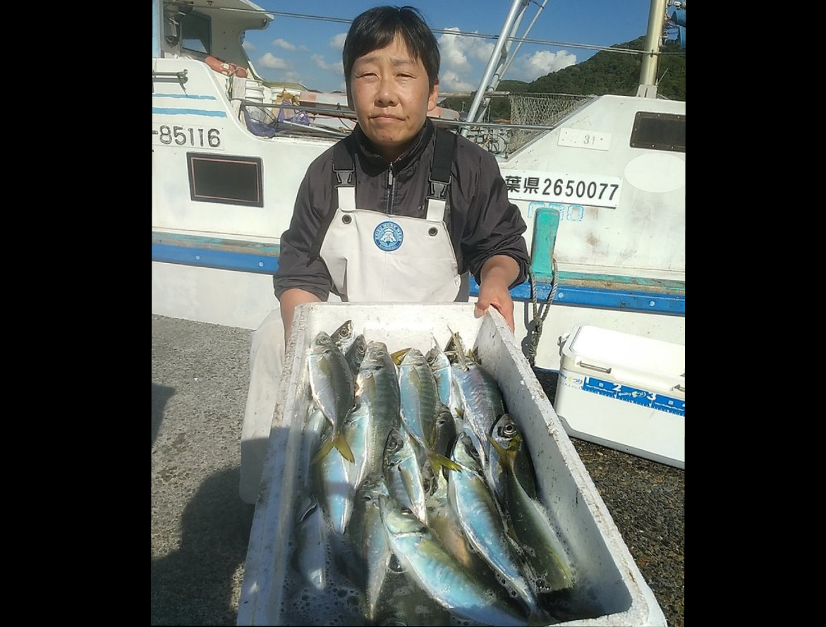 【釣果速報】千葉県勘次郎丸で42cmのギガアジはじめ良型アジが絶好調！クーラー満タンの釣果に釣り人大満足！