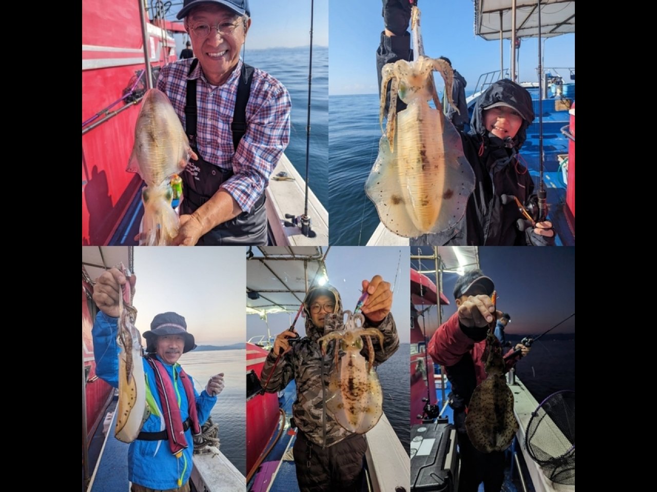 【釣果速報】兵庫県海蓮丸でアオリイカをキャッチ！TOP13匹！絶品アオリイカを自分の手で釣り上げてみませんか？