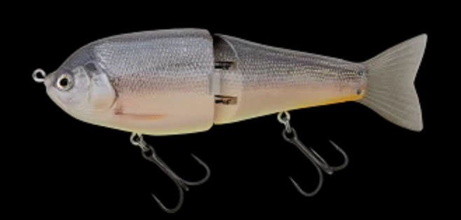 ルアーのアップ写真