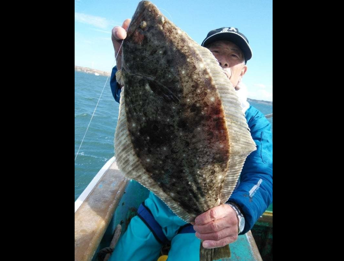【釣果速報】千葉県家田丸でヒラメ高活性＆全員ゲット！サイズも2kgを筆頭に良型揃い！