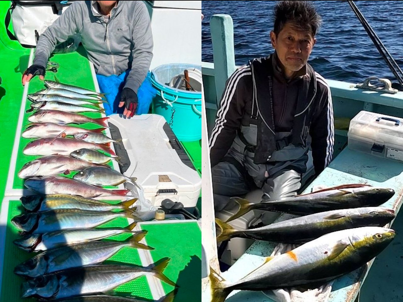 【釣果速報】チャンスタイム頻発！ワラサやアジなど続々当たり大興奮！神奈川県あまさけや丸で青物の引きを堪能しよう！