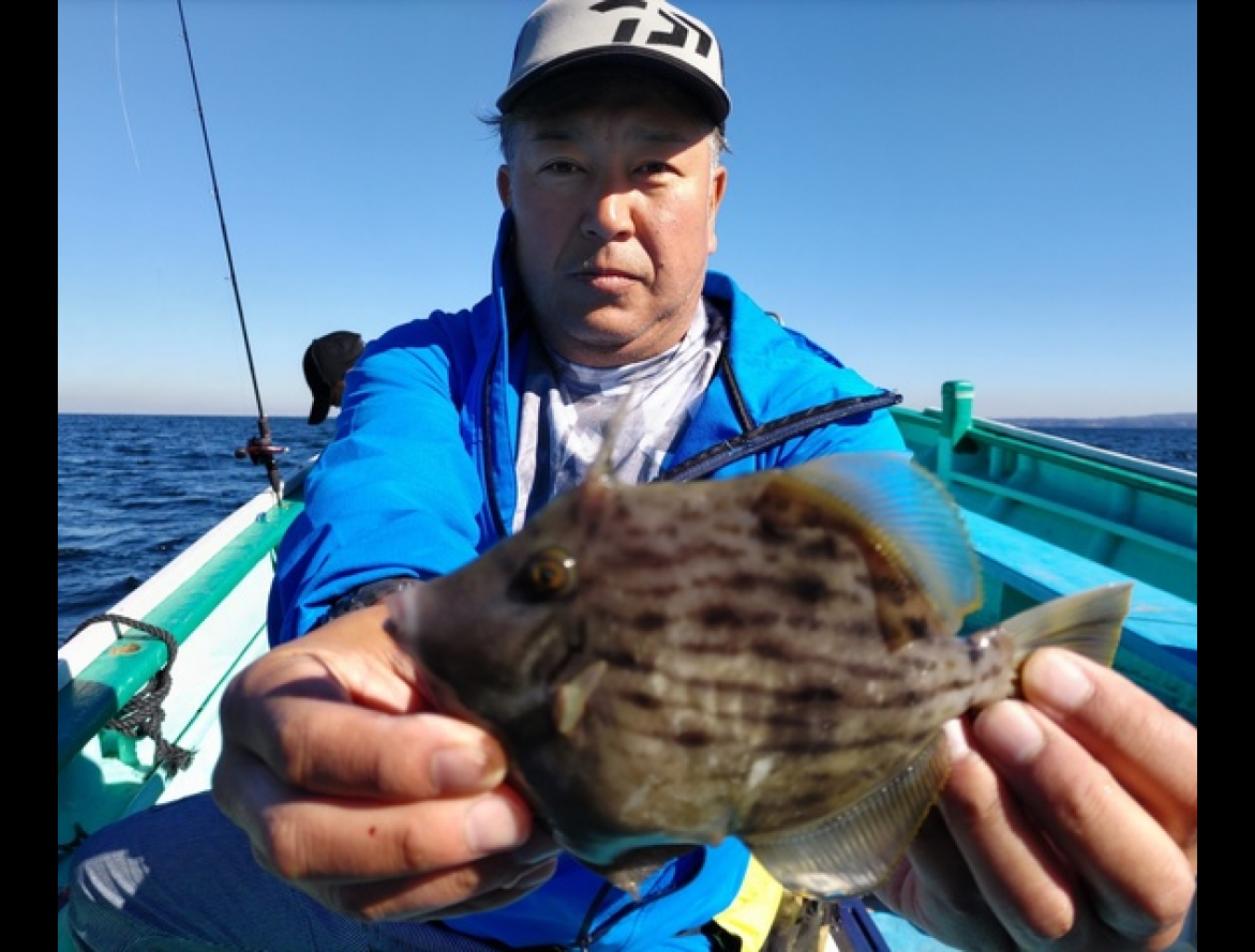 【釣果速報】時間を追うごとにサイズアップする大興奮の釣行！千葉県彦次郎丸で尺クラスのカワハギをゲットしよう！