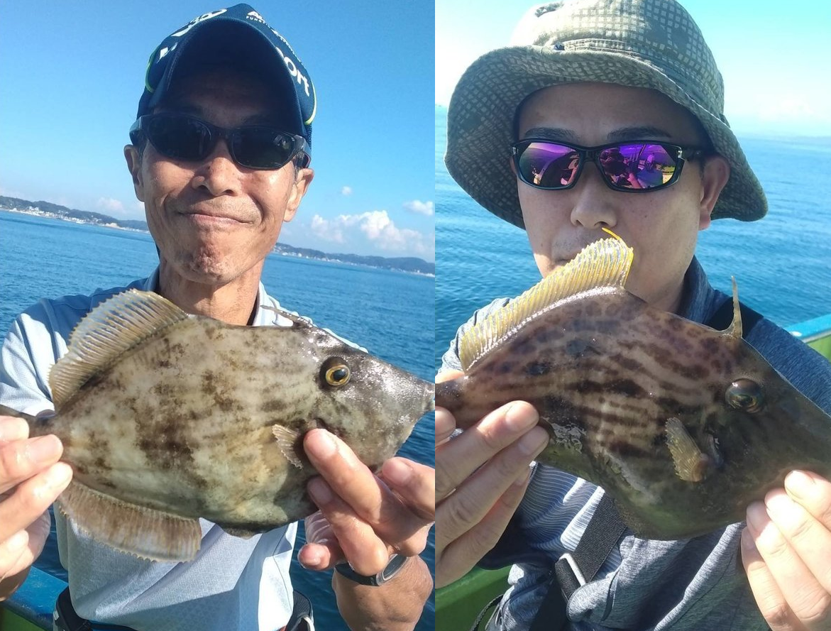 【釣果速報】神奈川県島きち丸でカワハギ続々ヒット!ゲストにカサゴ・ベラ・ウマヅラも!冬の味覚をいち早くゲットしよう!