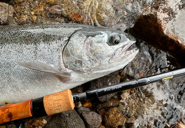 魚とロッドのアップ写真