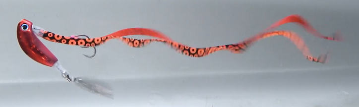 タイラバのアップ写真