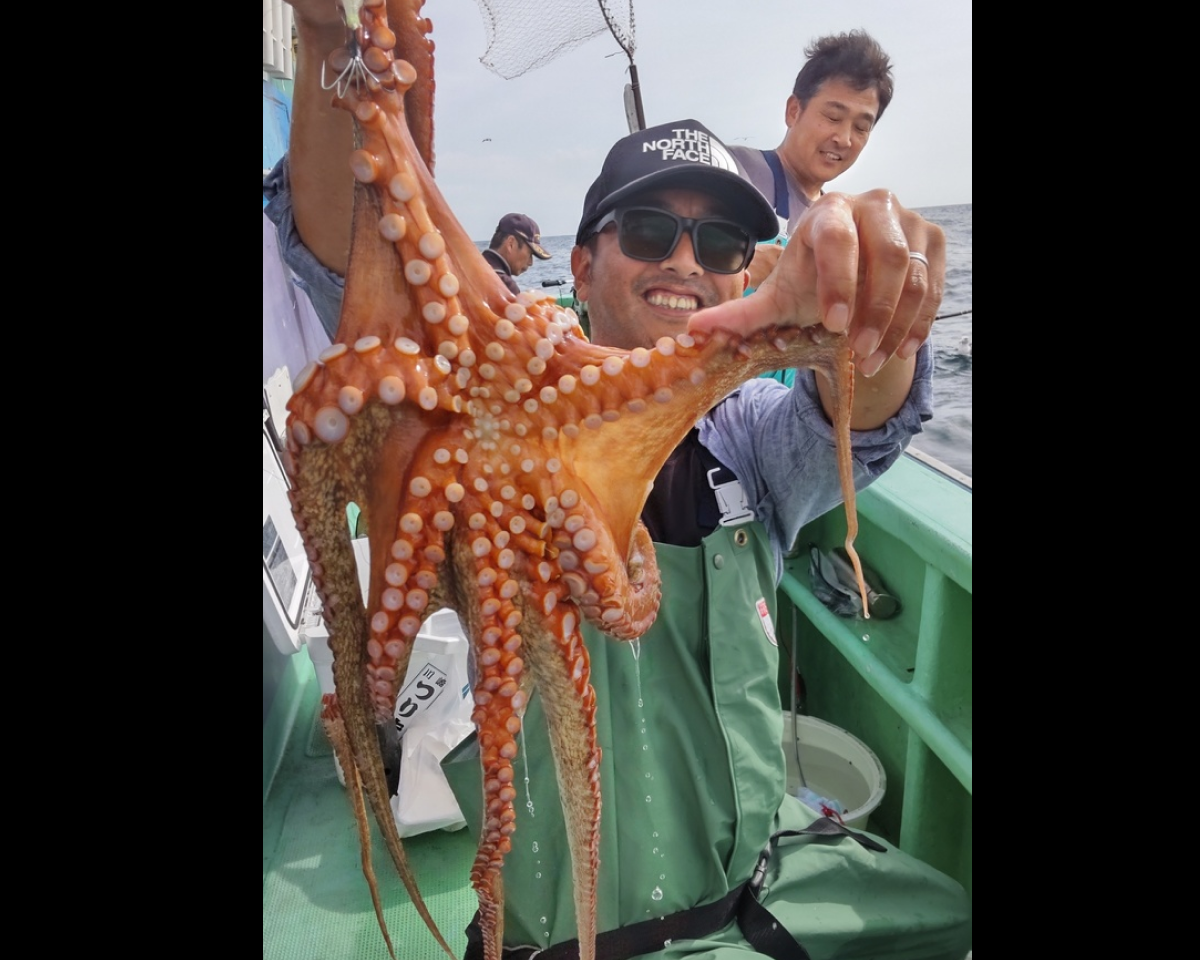 【釣果速報】茨城県仙昇丸でダイナミックな2.0kgマダコをキャッチ!好調な今、良型を狙いに行こう!