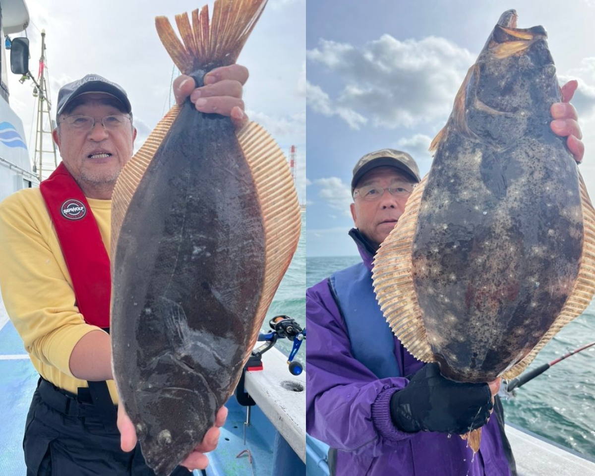 【釣果速報】3.0kgのデカヒラメGET!釣果も今後上向きの予感!茨城県幸栄丸でヒラメざんまいな一日を過ごそう!