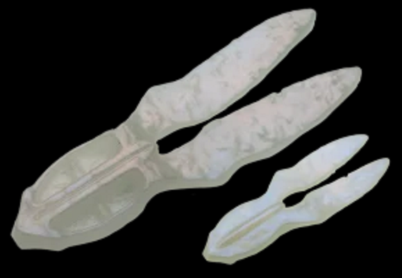 ワームのアップ写真