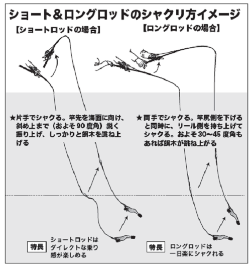 ズシッと竿が止まるのが面白い！船のエギシャクリでアオリイカ