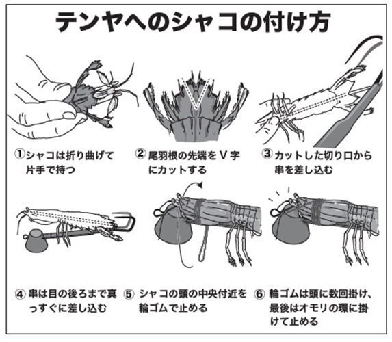 エサの付け方の図