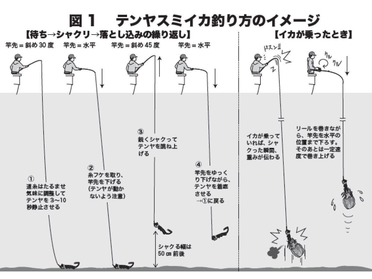 釣り方のイメージ