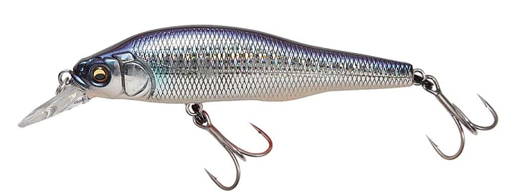 ルアーのアップ写真