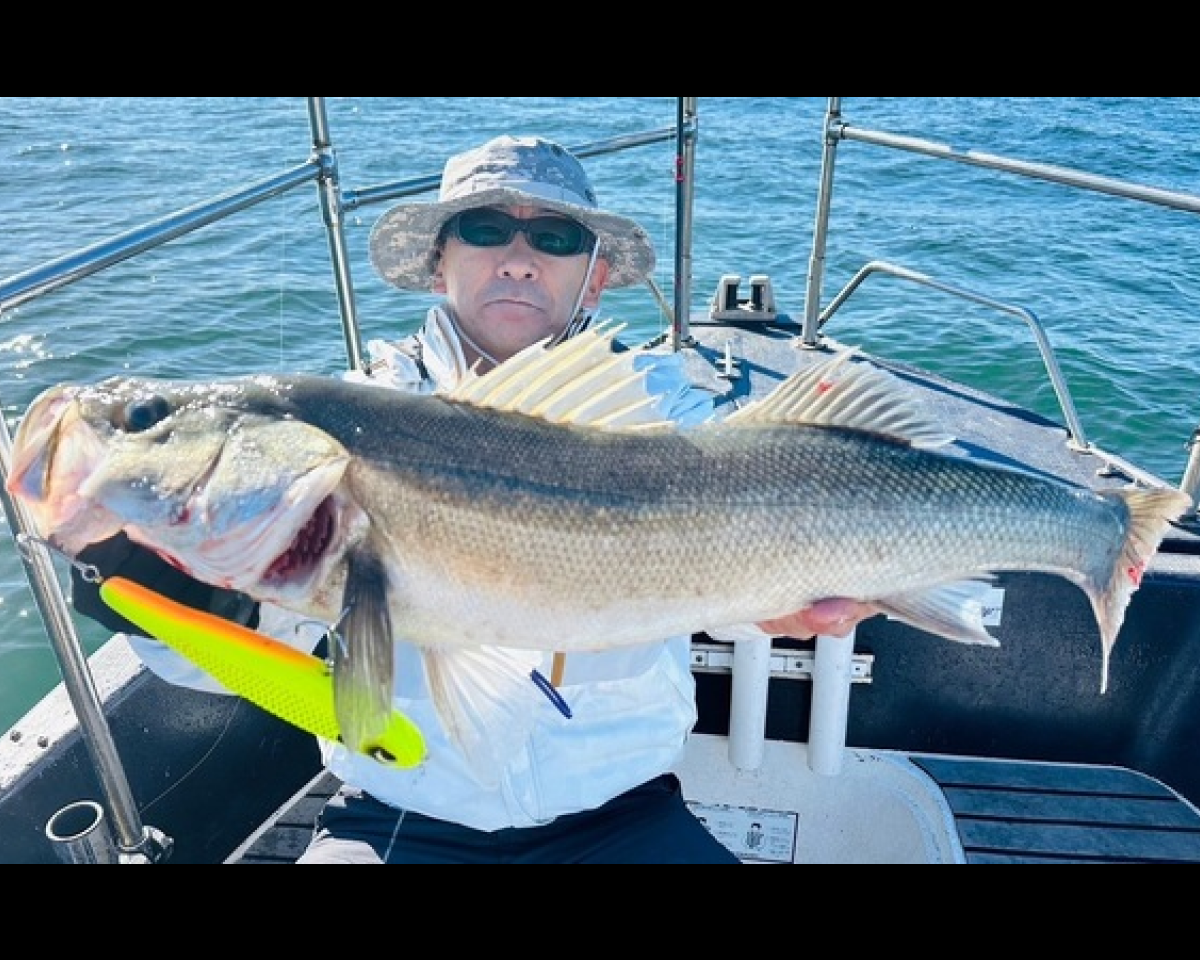 【釣果速報】千葉県TARGETでシーバスがボコボコHITしてます！76cmの大型もゲット！今後も爆釣の予感！