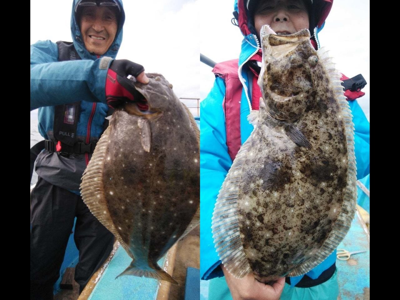 【釣果速報】千葉県家田丸で3.20kgの良型ヒラメがヒット!ヒラメのアタリを思う存分感じよう!