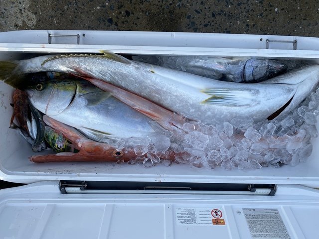 釣果