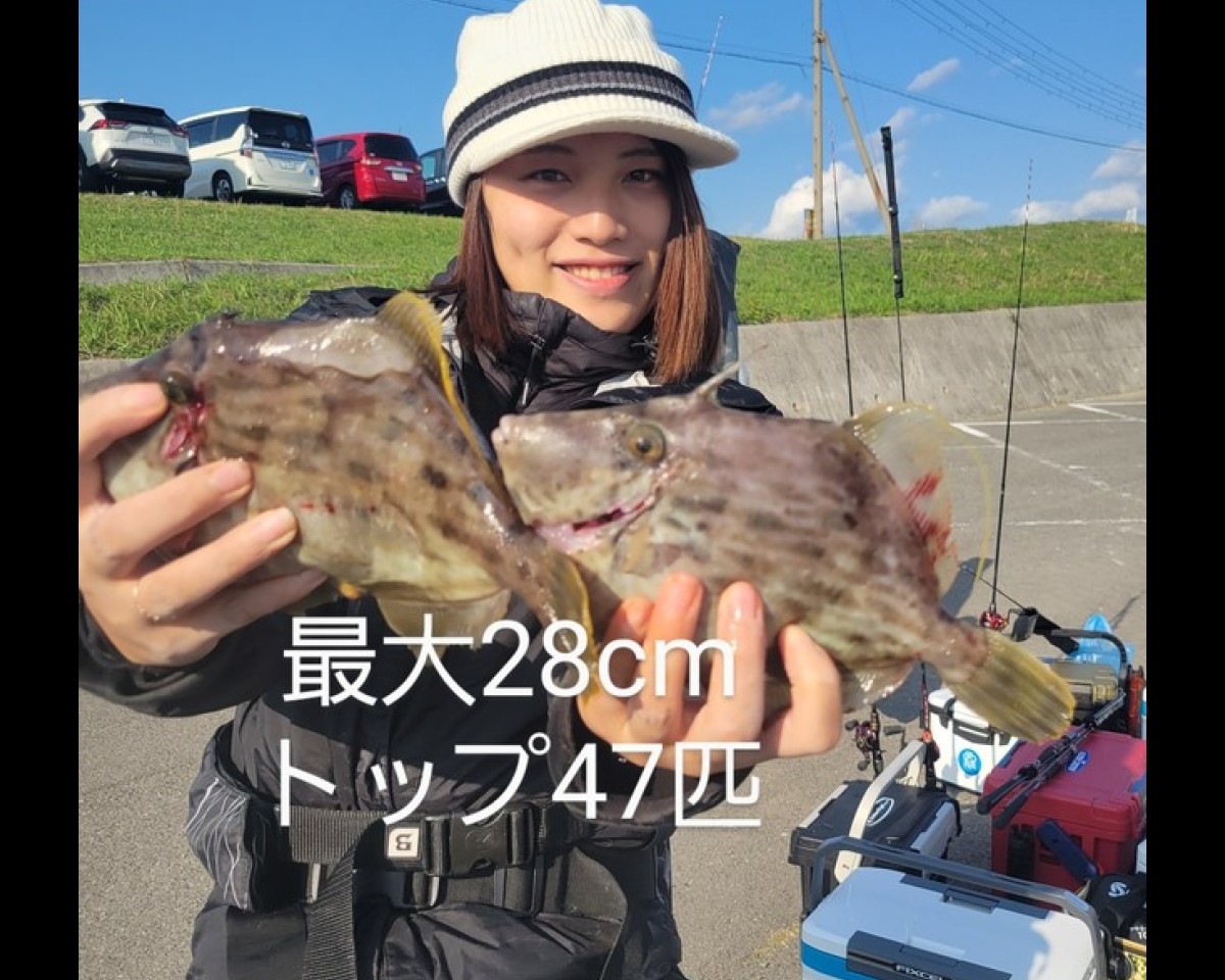 【釣果速報】和歌山県清風丸でカワハギ続々ヒット！最大28cmと型も文句なしの好釣果！好調な今が釣行の狙い目！