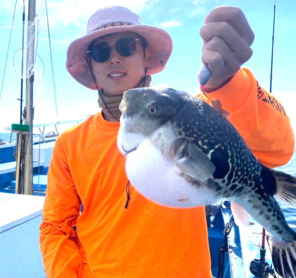 魚のアップ写真